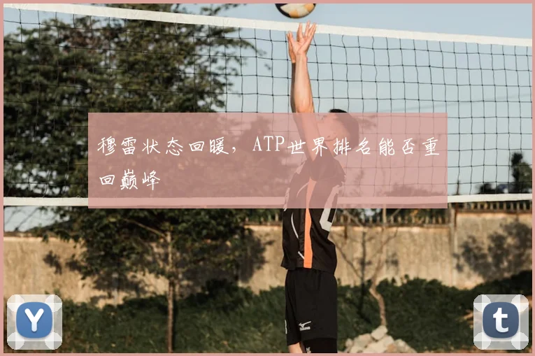 穆雷状态回暖，ATP世界排名能否重回巅峰