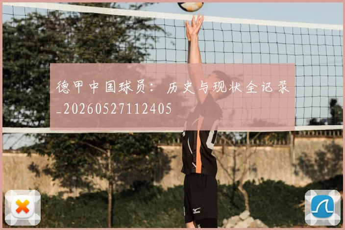 德甲中国球员：历史与现状全记录_20260527112405