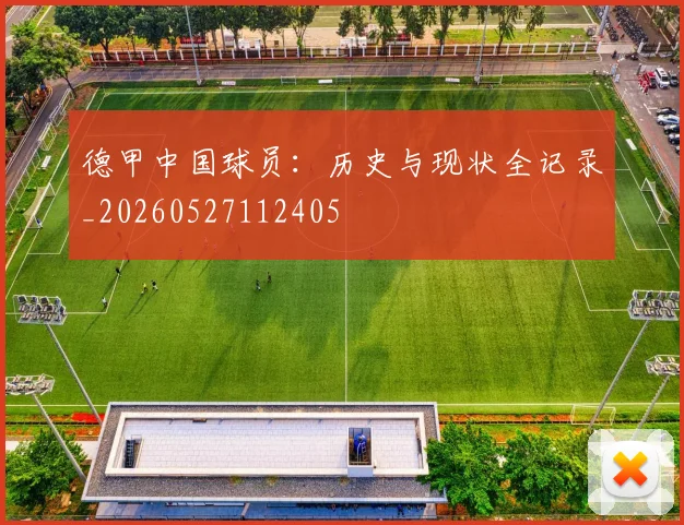 德甲中国球员：历史与现状全记录_20260527112405