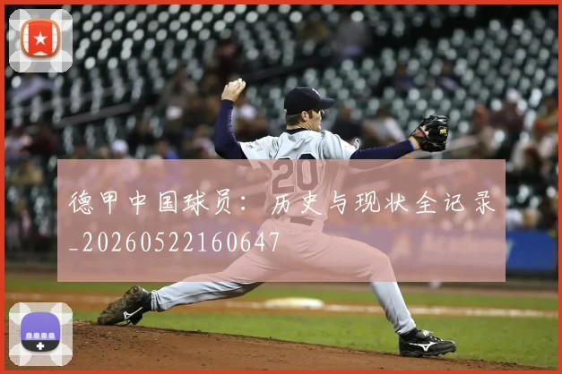 德甲中国球员:历史与现状全记录_20260522160647